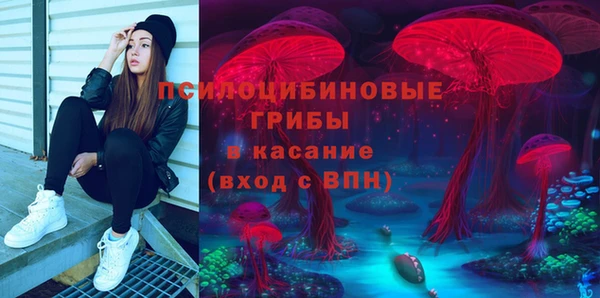 шишки Лихославль