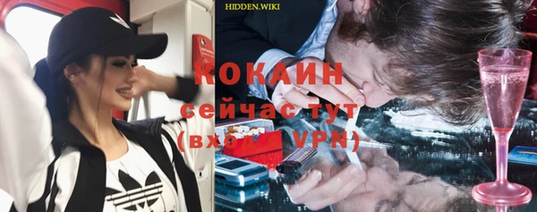 шишки Лихославль
