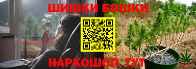 дживик Моздок
