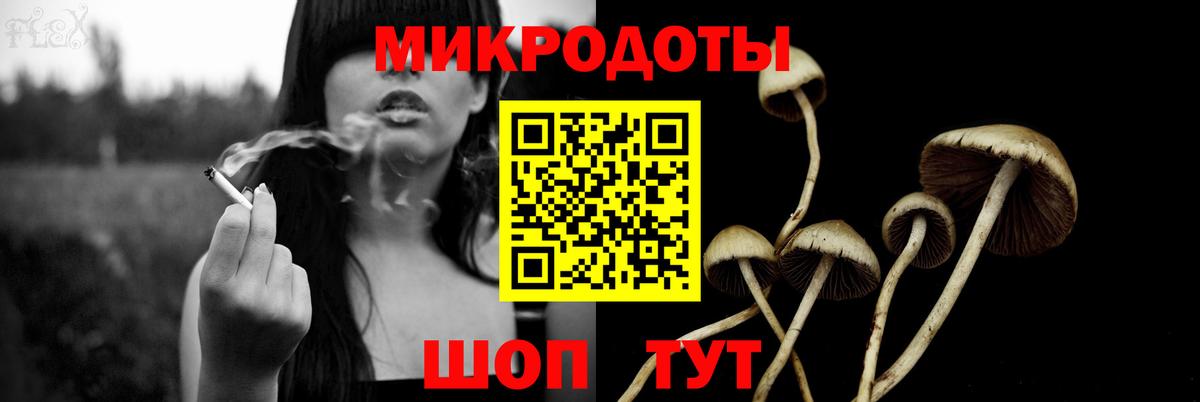 Псилоцибиновые грибы мицелий  Вход с VPN  Рязань 
